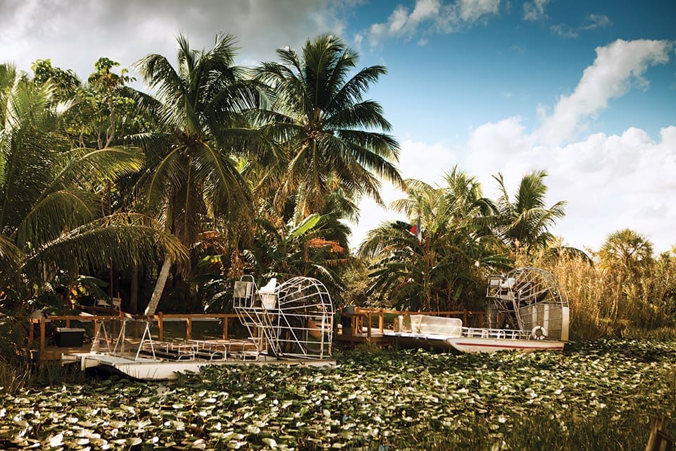 Iconic Florida 1 In this image, another iconic Florida pastime: airboat rides in the Everglades. An airboat floats amid dense foliage.
