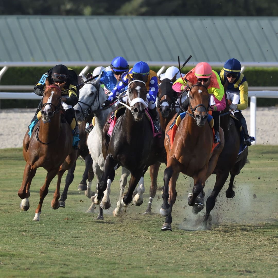 Gulfstream featured image 1