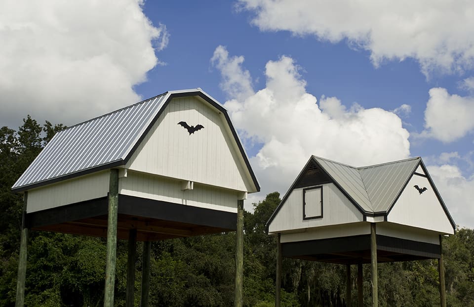 5 Unusual Florida Travel Destinations 1 Bat Houses.960