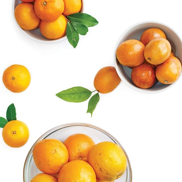 Citrus bowls 6001