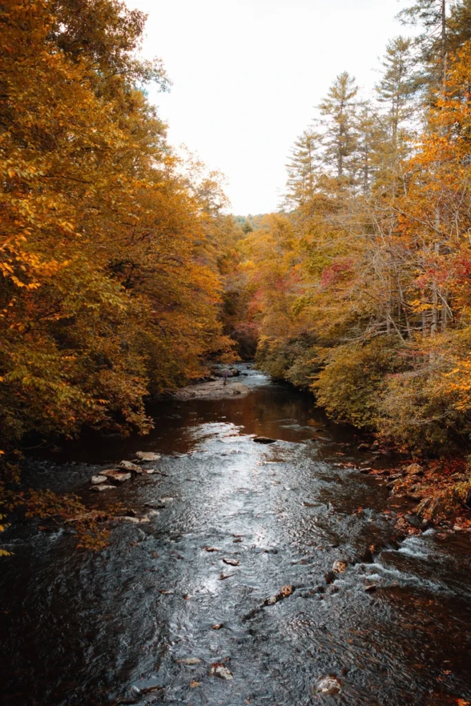 Fall Isn't Over Yet in Cherokee County, North Carolina 2 Cherokee County Leaf Season