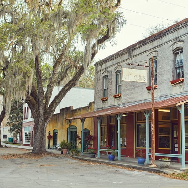 FEATURE.V6.MICANOPY.MBKoeth 1N3A2598.600