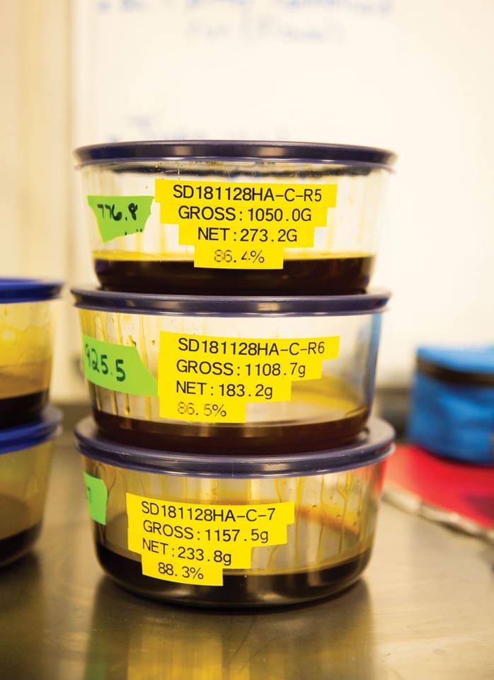 MARIJUANA.V13 J2C0322