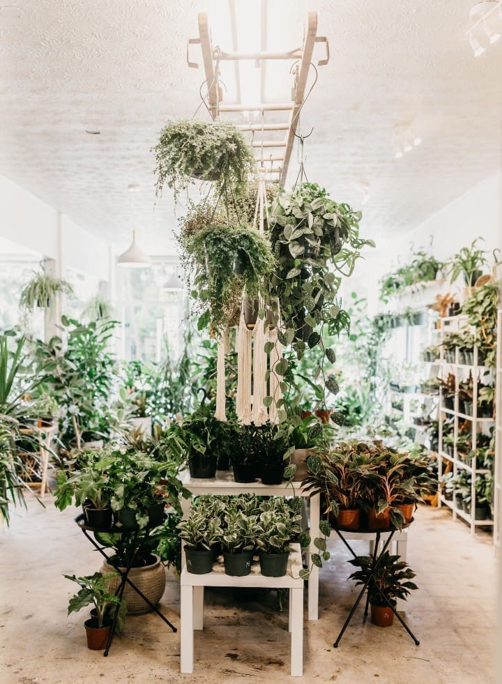 13 New Sunshine State Spots We Can’t Wait to Try 1 Plant ladder RS 1