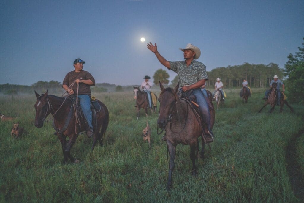 WEB FEATURE.V19.CATTLE RANCHING.CWard2019 16935
