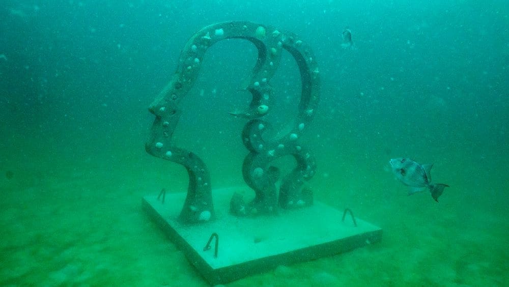 Off-the-Beaten-Path Adventures: Unveiling the Secret Wonders of 30A's Emerald Coast 2 Aspiration Underwater . Spring Run Media