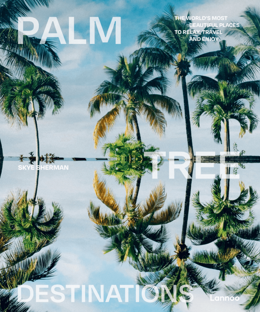 Palm Tree