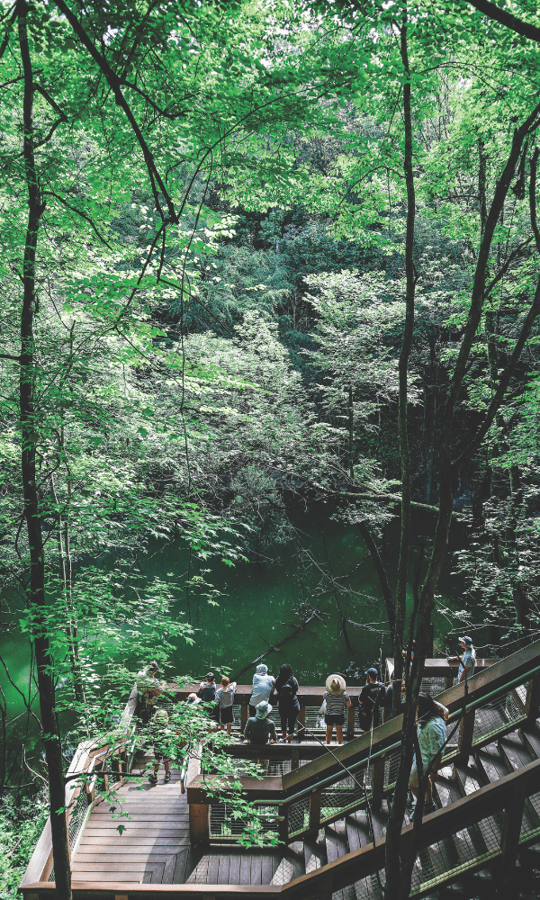 Sinkholes, Springs and Everything In Between: Explore Florida's 175 State Parks 6 2 2