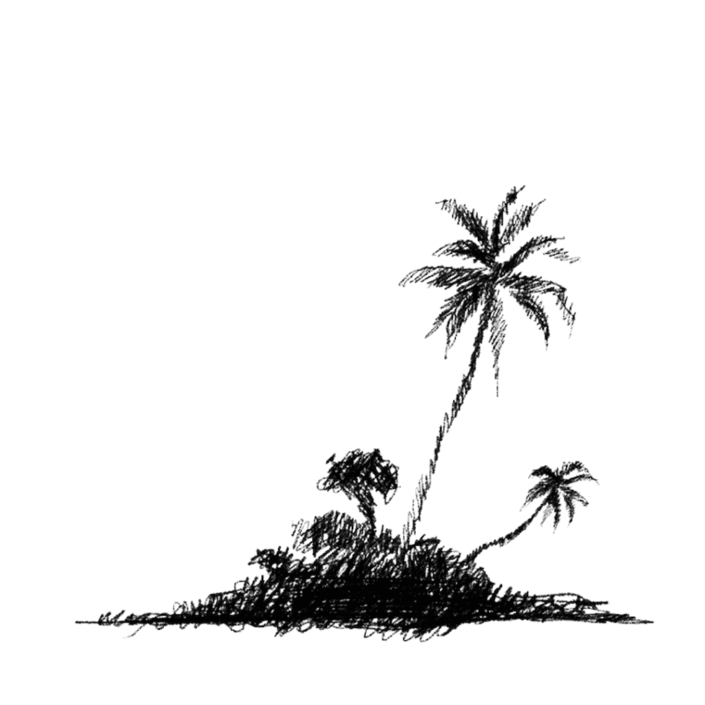 5 2