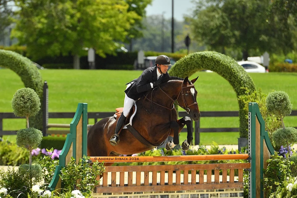 Watch at the best of the best compete at the World Equestrian Center in Ocala