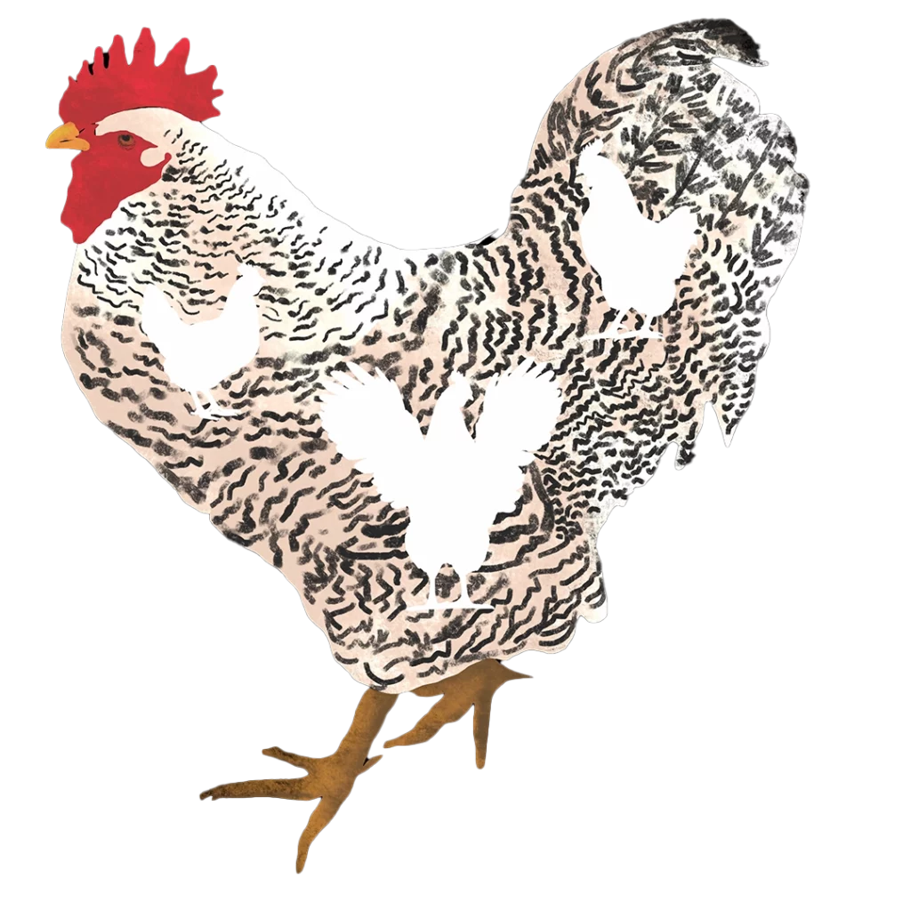 Flamingo ChickenIllo2 2025