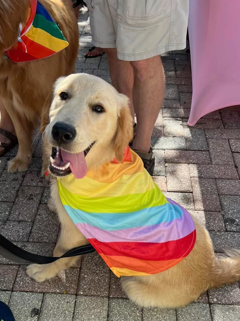 Hello Again in a used bookstore in Cocoa that emphasizes LGBTQ+ voices and has a pet pride parade every year.