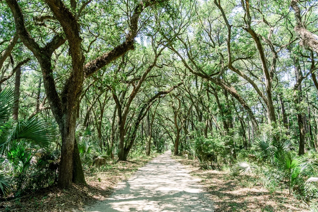 Grab a bike and cruise down scenic River Road.