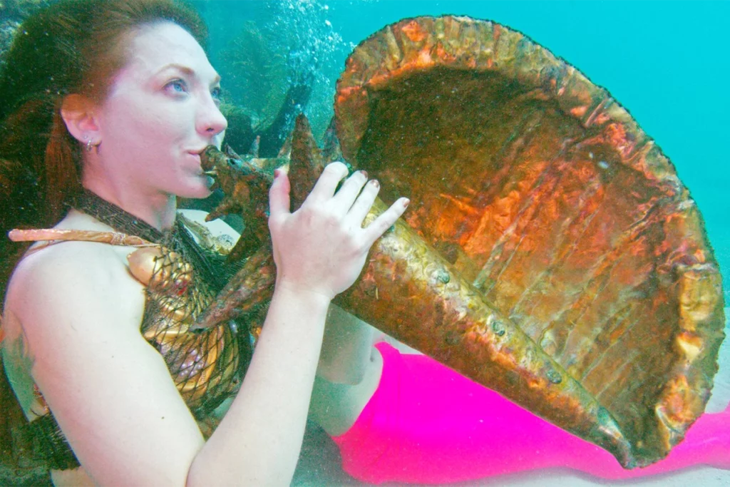 Key West Underwater Music Festival Looe Key Reef