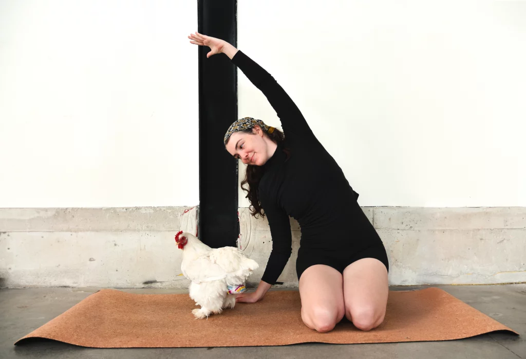 Take a Yoga Class With Street Chickens at This Boutique Hotel 1 chickenyoga Flamingo