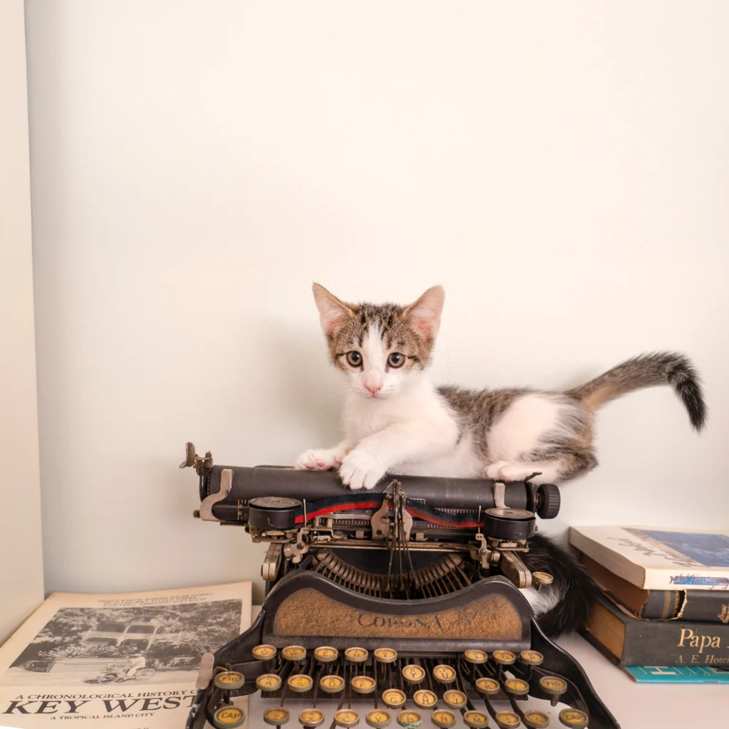 Key West is the City That Refuses to Behave 1 hemingwaykeywestcat em1