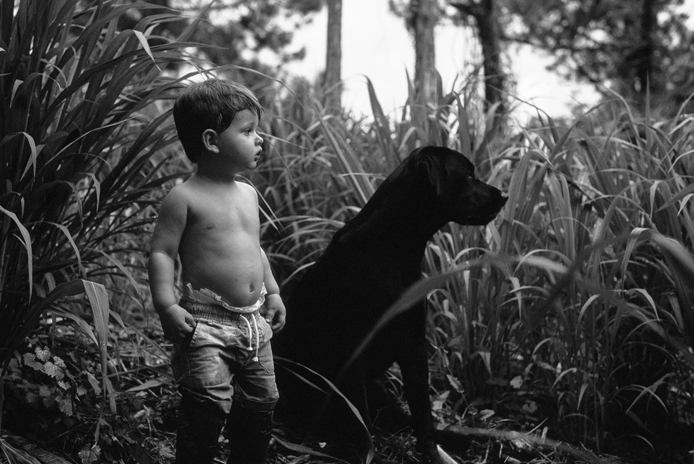 a toddler and a black Lab puppy