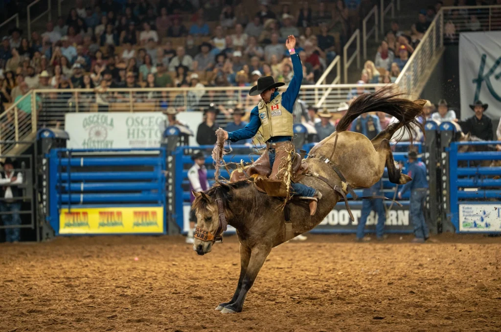 What To Do This June in Florida 3 Rodeo
