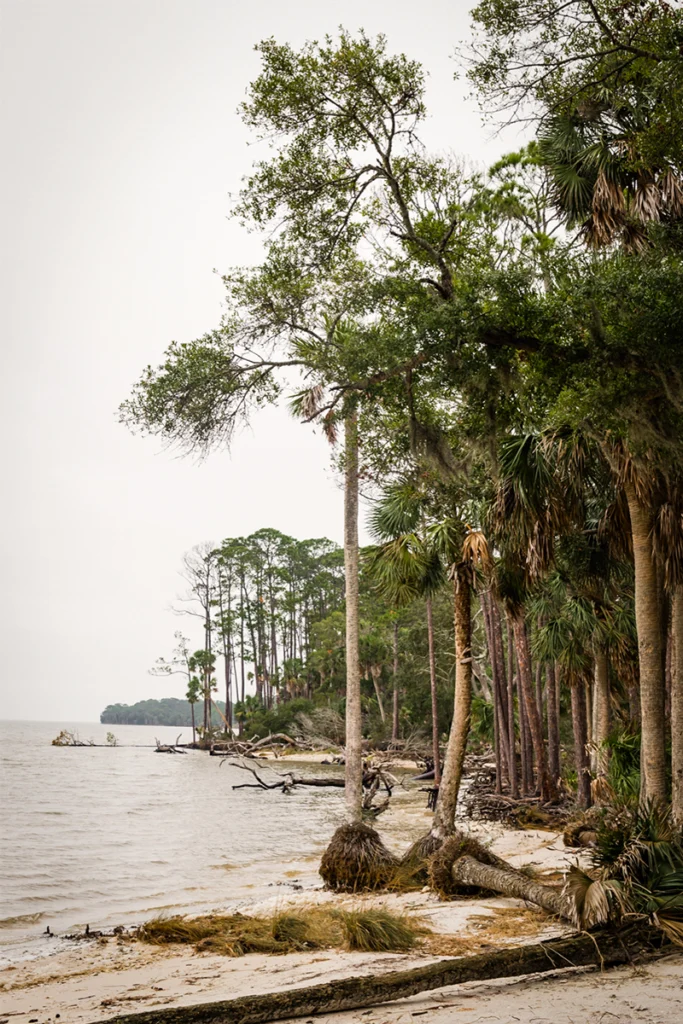 Shoreline at St. Vincent National Wildlife Refuge