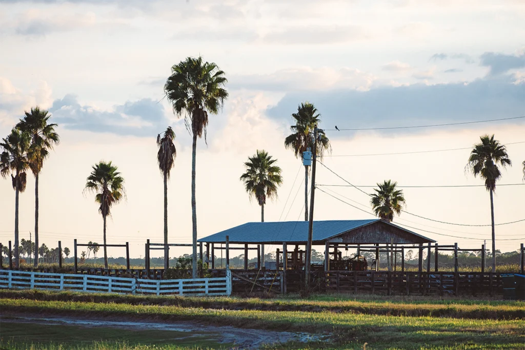 Outside the SL Brown Ranch