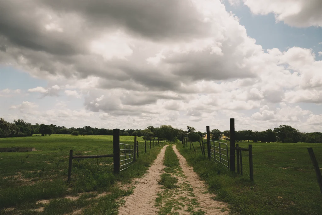 Road leading to Providence Cattle Company's Ranch