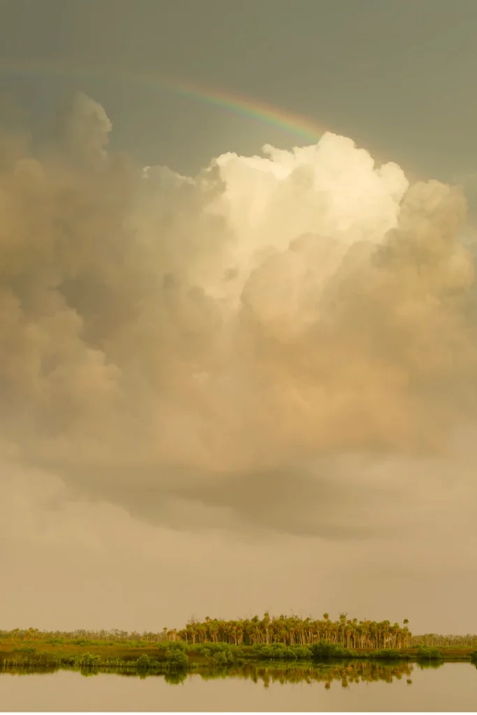 rainbow