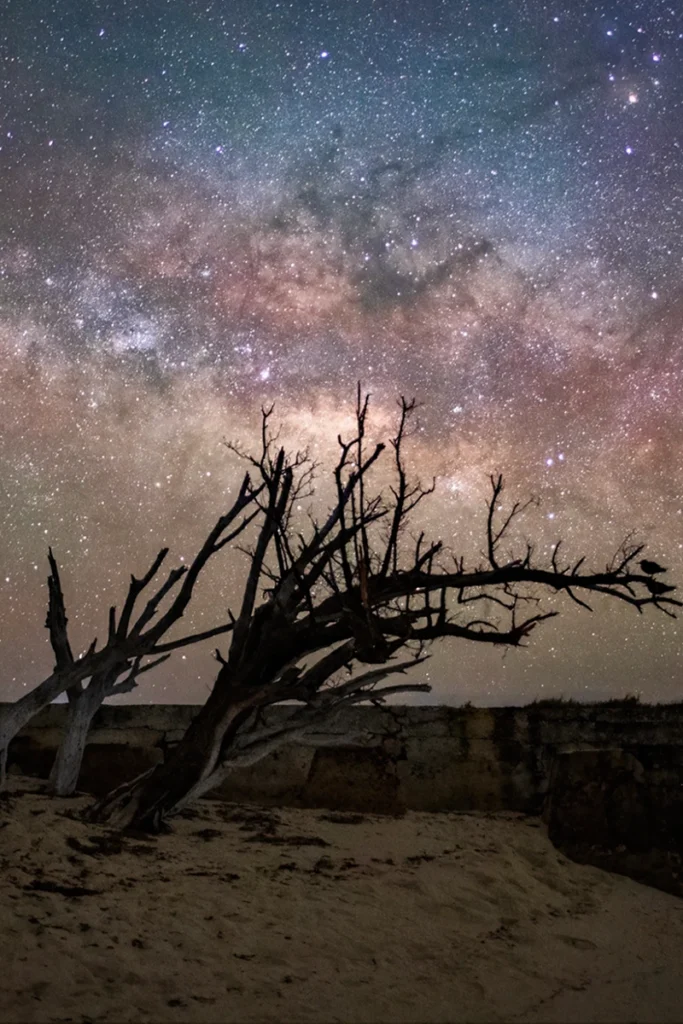 starry sky