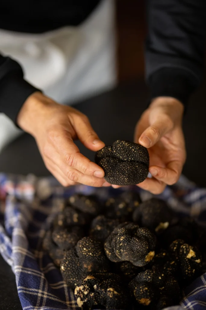 Black truffle from 