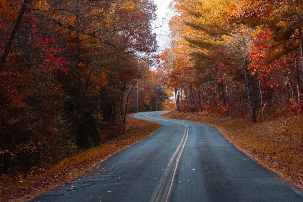 Fall Isn't Over Yet in Cherokee County, North Carolina 1 Smokey Mountains