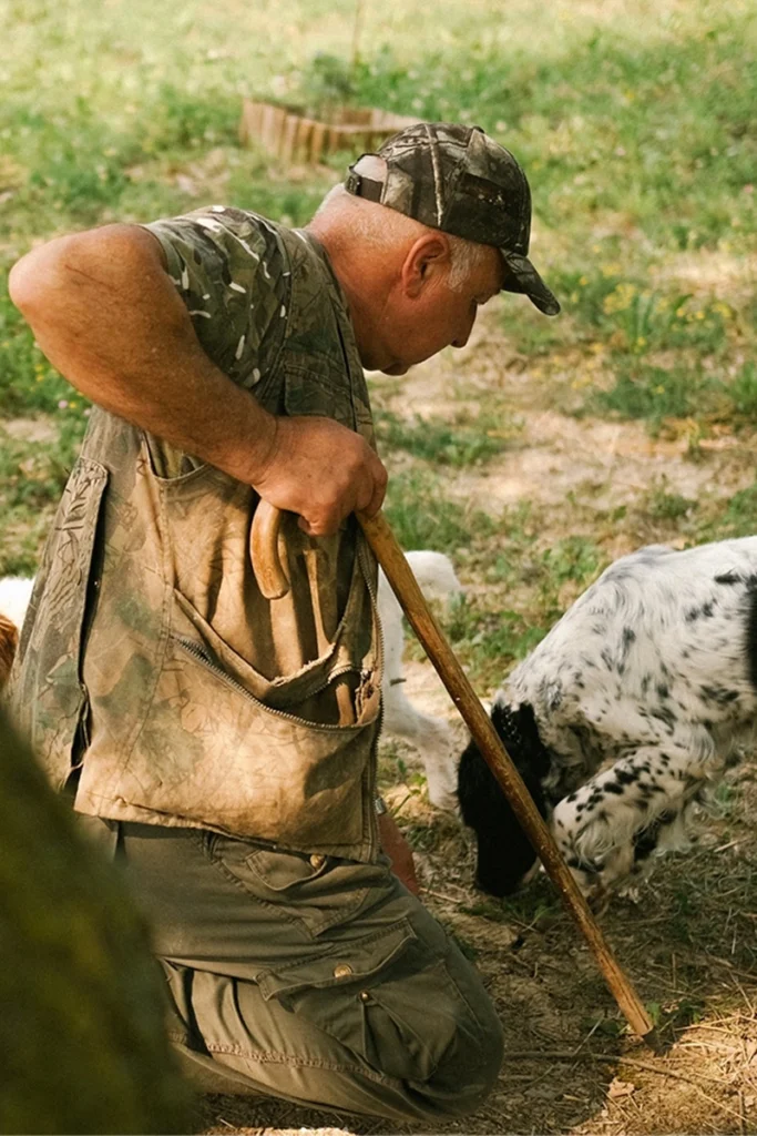 truffle sniffing dogs in Piedmont