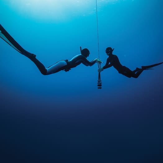 FREE DIVING SUM 16 525
