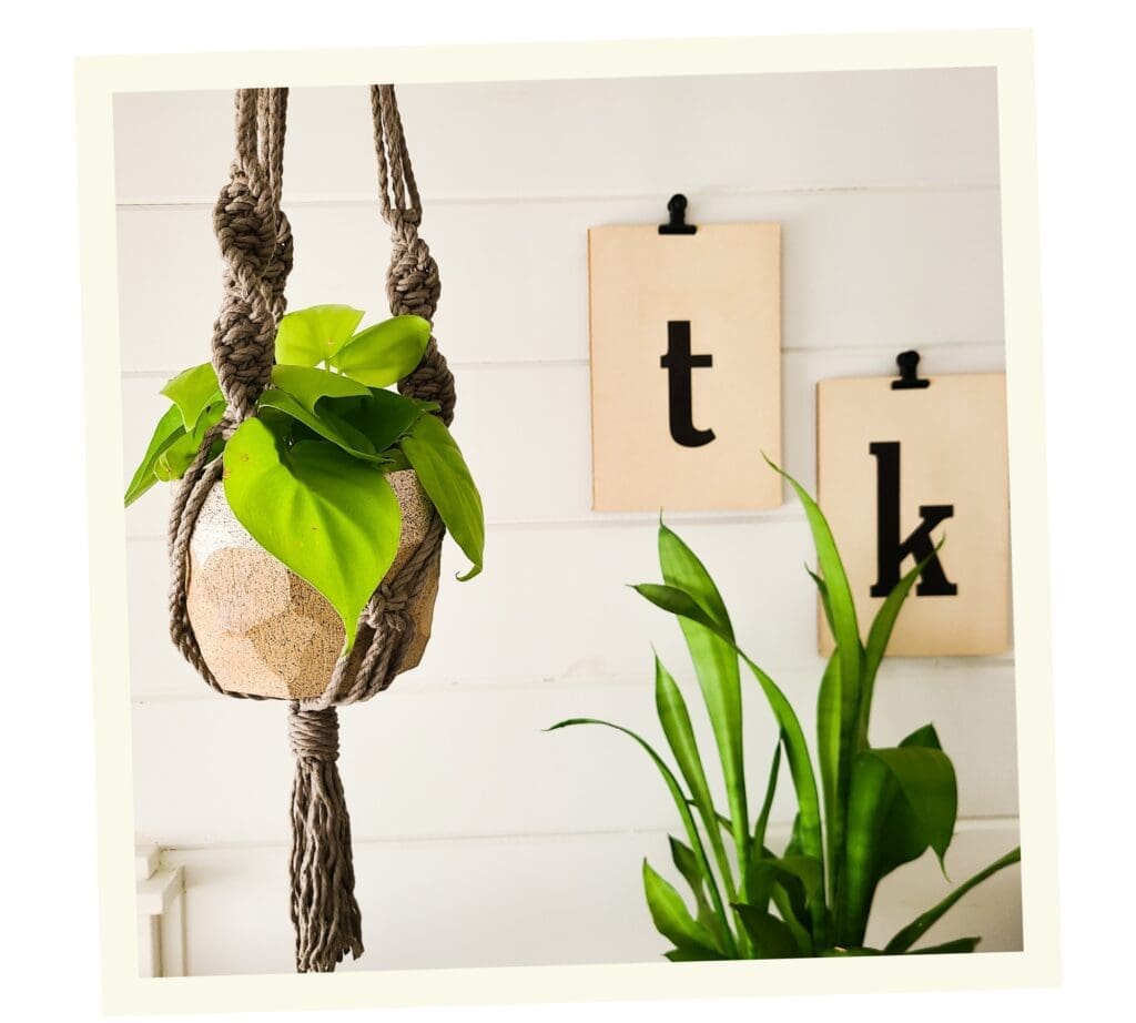 Flamingo’s Merry & Bright 2022 Holiday Gift Guide 21 7