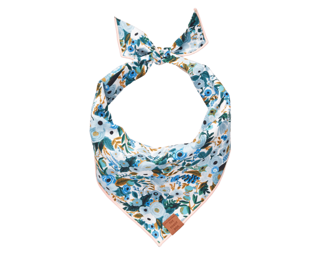 10 Florida-Made Pet Products That Are Just Doggone Cute 5 My project