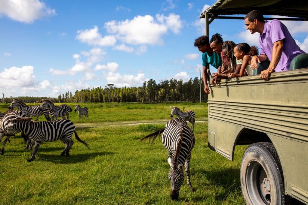 Uncover Central Florida's Charm 1 SAFARI WILDERNESS 1
