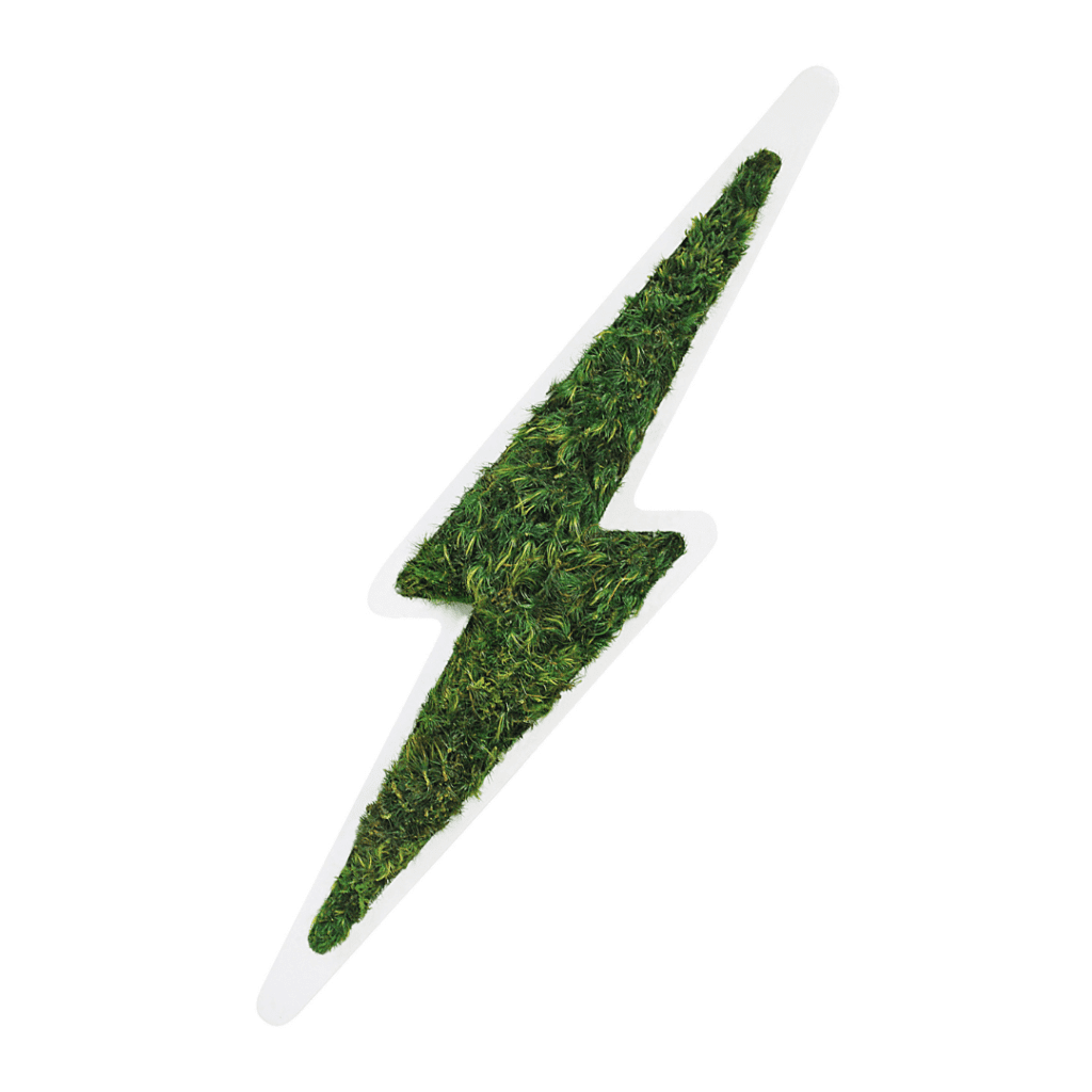 Plant the future wall art