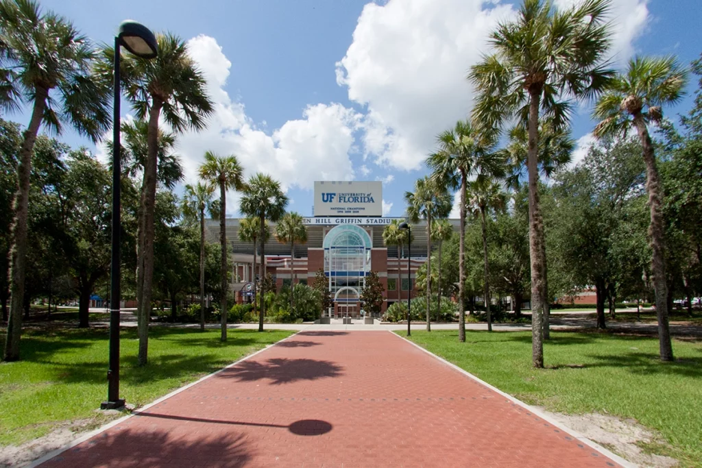 Denied at UF & FSU: The New Reality for Florida’s Brightest Students 1 UF's Gator Walk is lined with memories—fans and alumni purchase bricks and engrave them with personalized messages for Gators to read in the years to come.