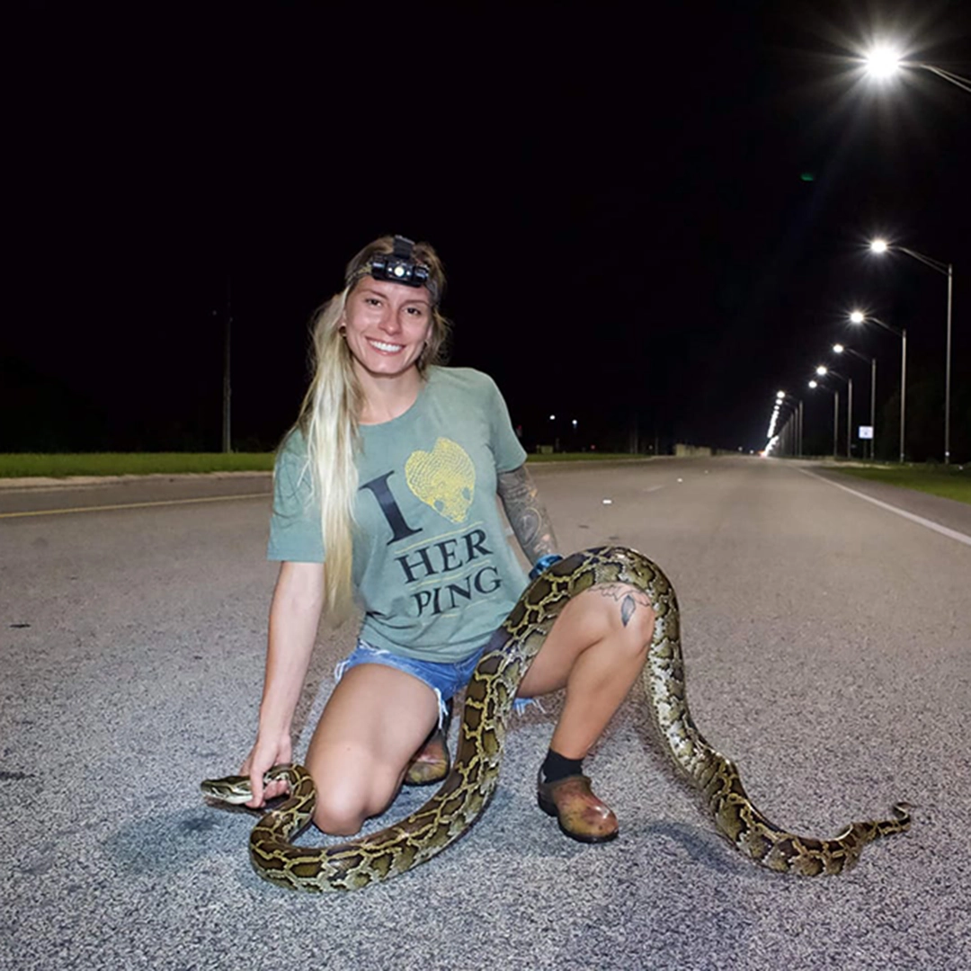 Flamingo FeaturedPython 2025