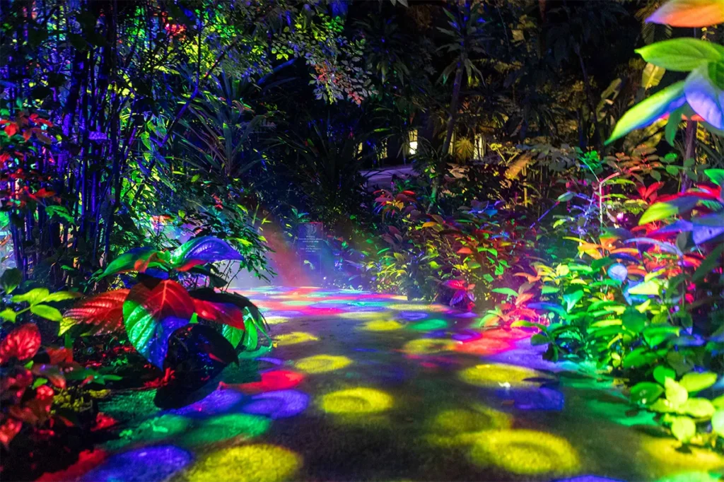 12 Places to See Holiday Lights in Florida 4 A lighting display at NightGarden.