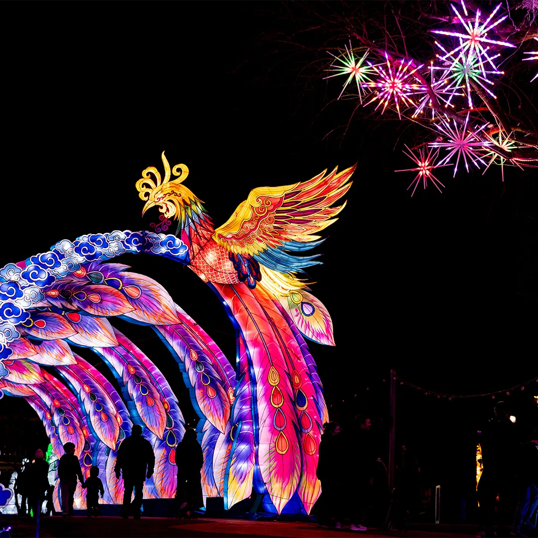 A lit tunnel at Colors of the Wild, featuring a phoenix.