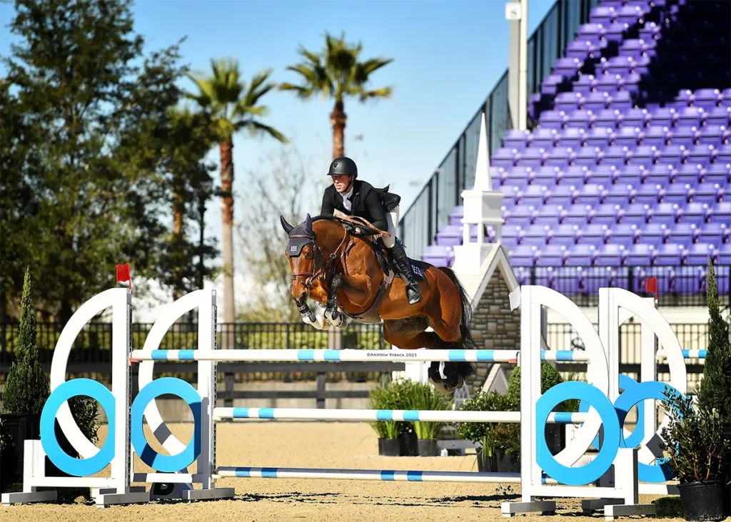 A jumper at the World Equestrian Center stadium in Ocala.