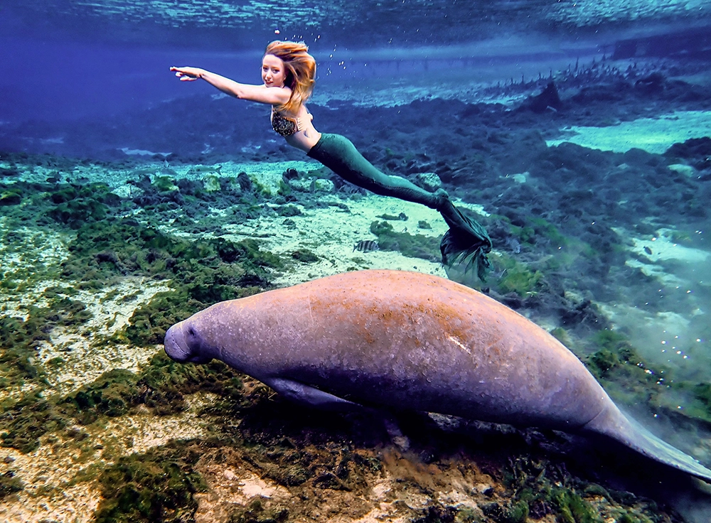 9 Camps for Adults in Florida 19 Flamingo MermaidCamp 2025