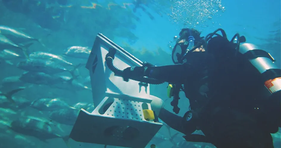 Artist Christopher Still Dives Deep Into Florida's Legacy 6 Christopher Still using a waterproof painting box.