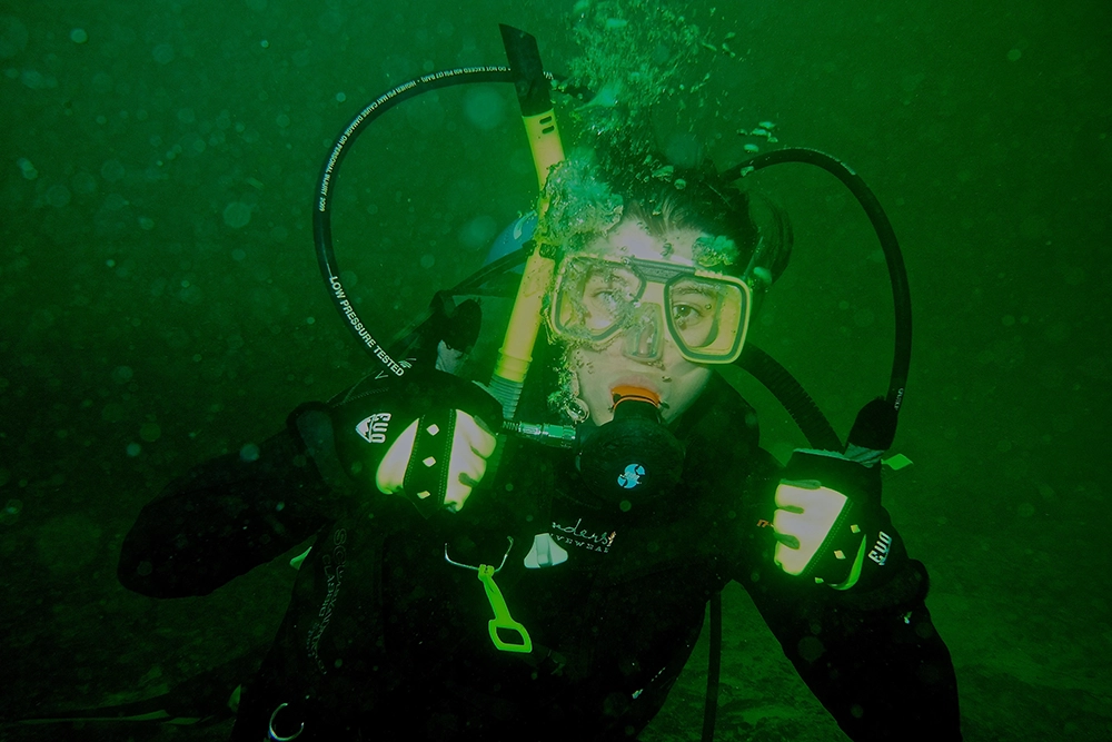 Stories From Scuba Diving Off the Coast of Pensacola 2 Flamingo CDdiving 2026