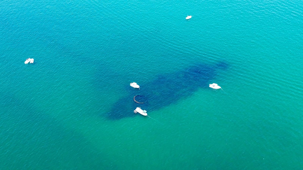 Stories From Scuba Diving Off the Coast of Pensacola 4 Flamingo Shipwreck 2026