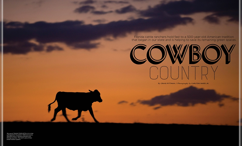 Behind the Stories: A Decade of Flamingo's Best 7 Cowboy Country