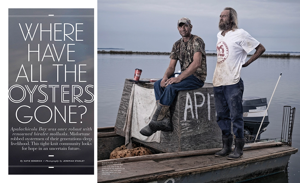 Behind the Stories: A Decade of Flamingo's Best 1 Flamingo Where Have All the Oysters Gone