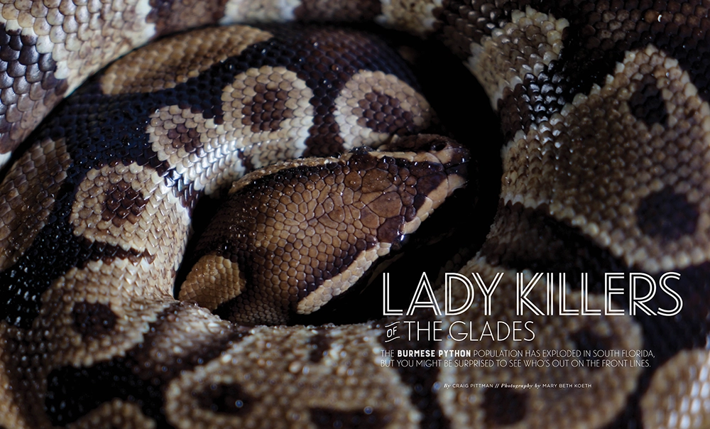 Behind the Stories: A Decade of Flamingo's Best 5 Lady Killers of the Glades