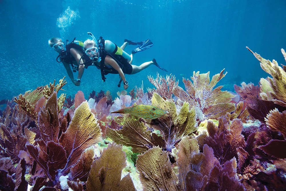 scuba diving in the Florida Keys
