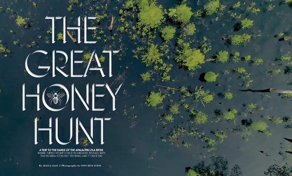 Behind the Stories: A Decade of Flamingo's Best 9 The Great Honey Hunt