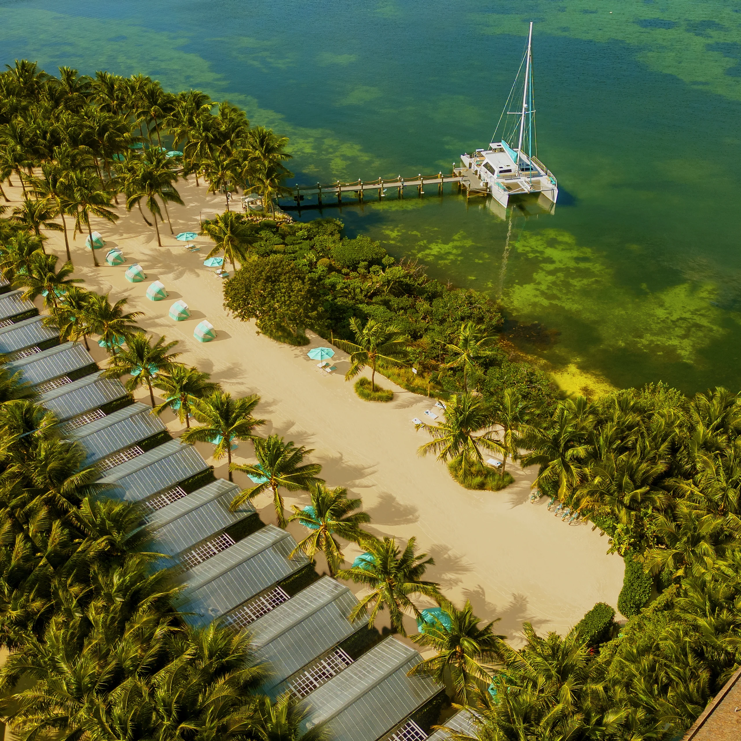 Flamingo CoconutBeachFI 2026 scaled